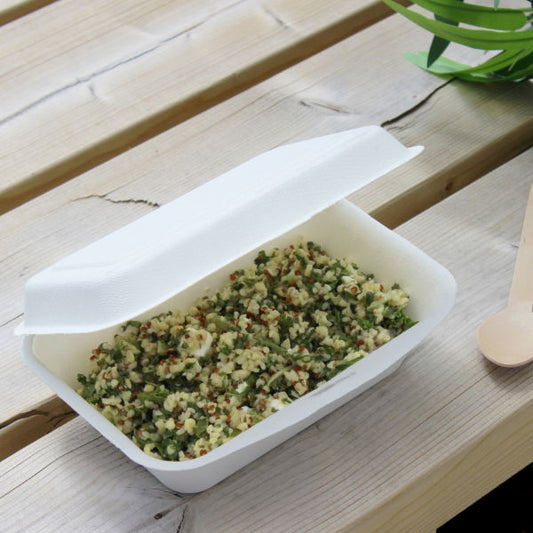 6"x4" Bagasse Small Lunch Box (20x50)