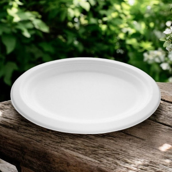 10.5x8" Bagasse Oval Plate (10x50's)