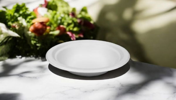 9oz Bagasse Bowl 11x11 (20x50`s)
