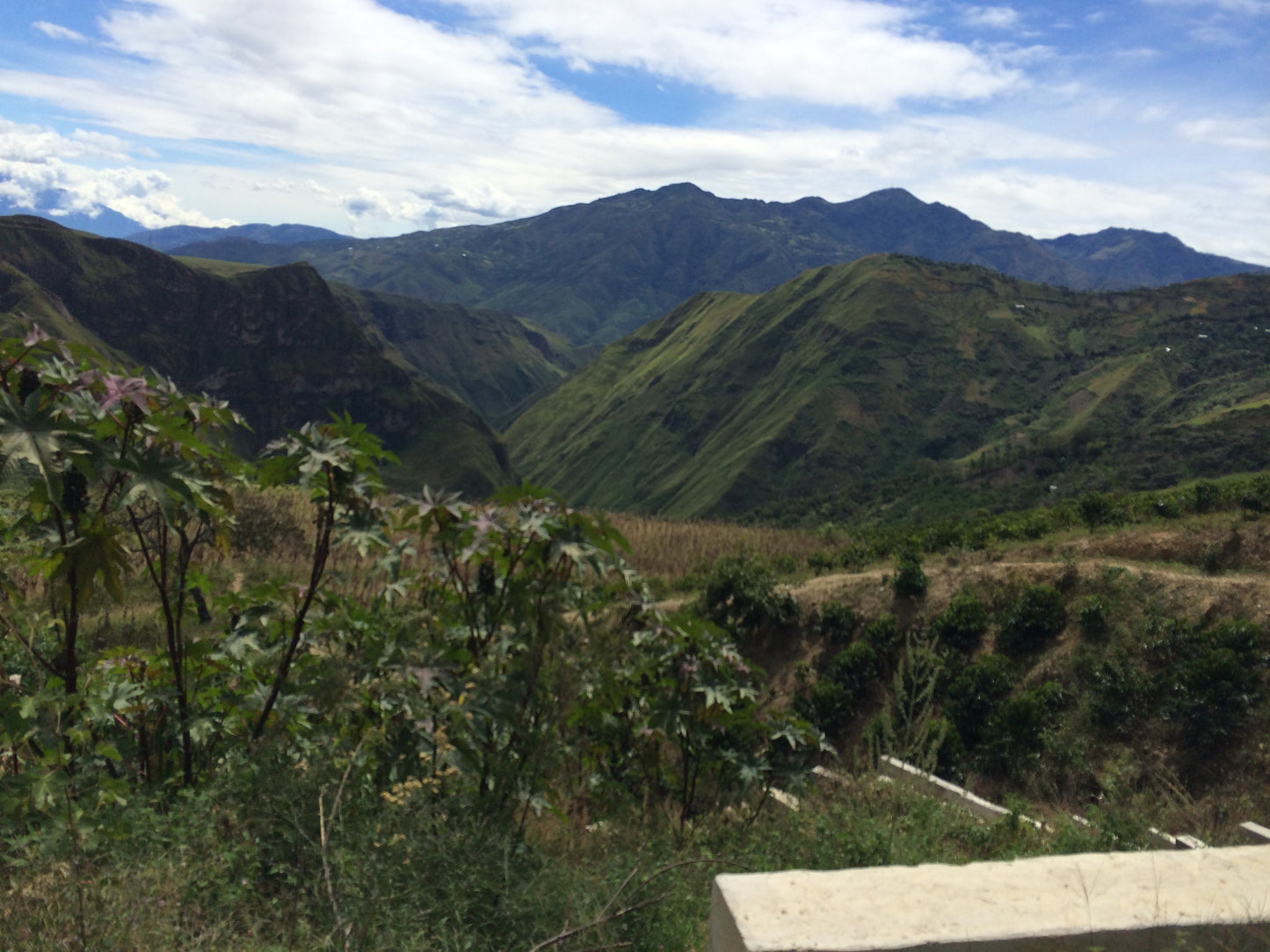 Colombia Bomba de Fruta