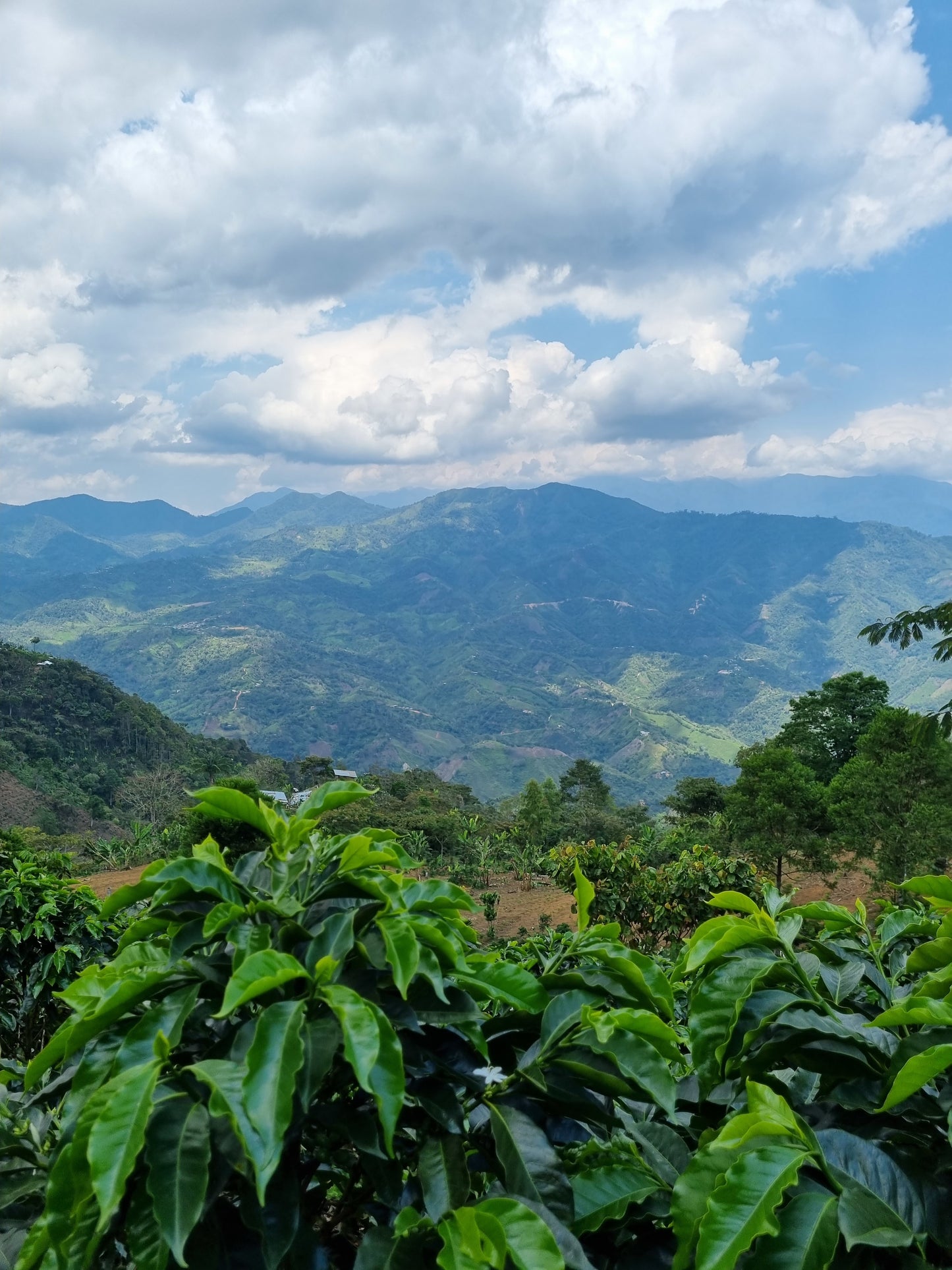 Peru La Higuera